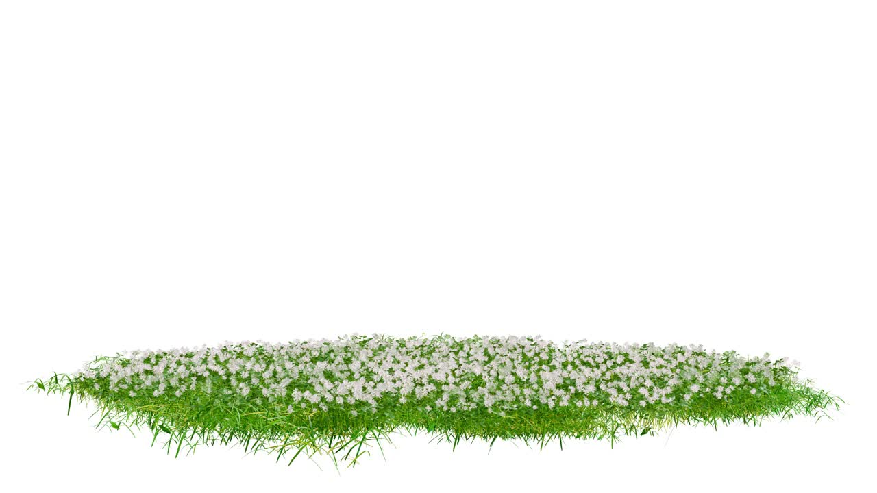 圆形的表面斑块覆盖着绿色的草和花在白色的背景上旋转。现实的自然元素的展示设计。明亮的3d动画。视频下载