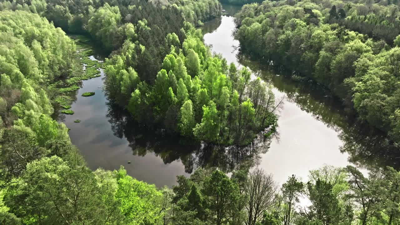 波兰的大自然。春天曲曲折折的河流和森林。视频下载