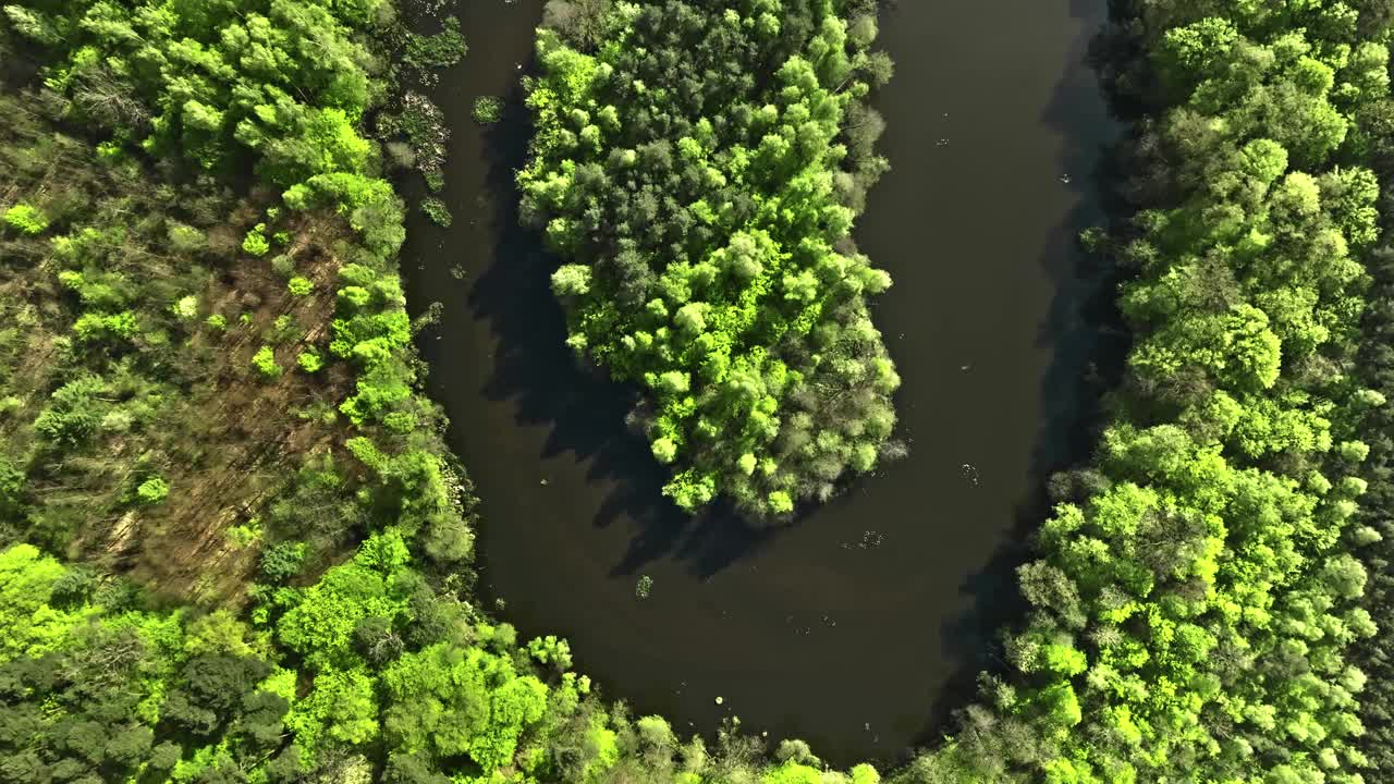 波兰春天的河流和沼泽鸟瞰图视频下载