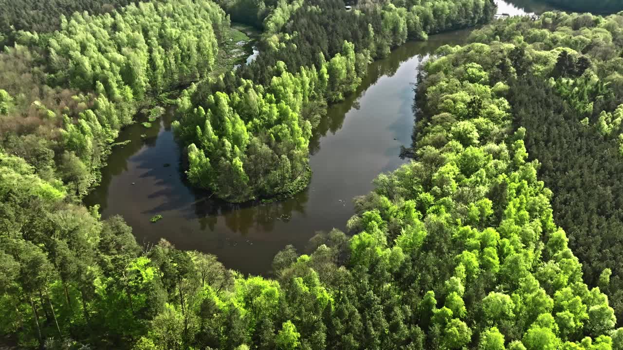 春天曲曲折折的河流和森林。波兰的野生动物视频下载