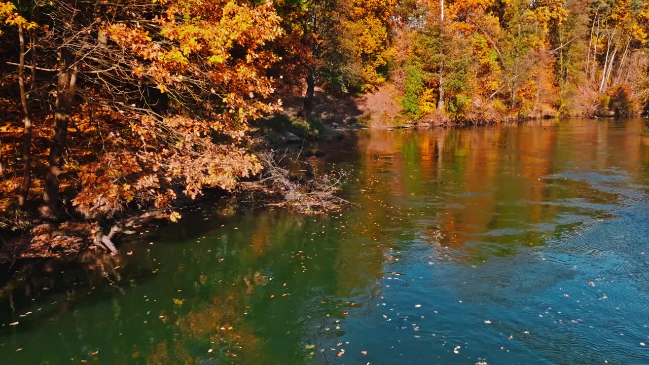 波兰布尔达河畔日出时的秋树。视频下载