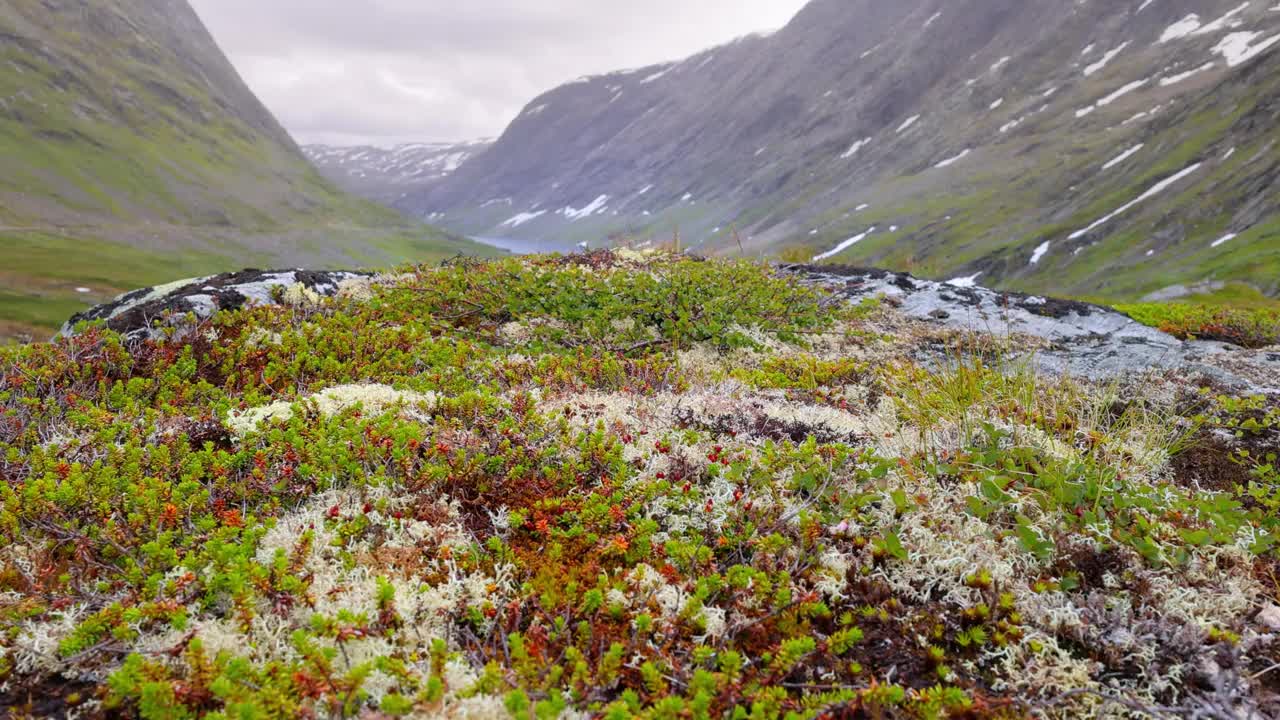 北极苔原。美丽的大自然挪威的自然景观。视频下载
