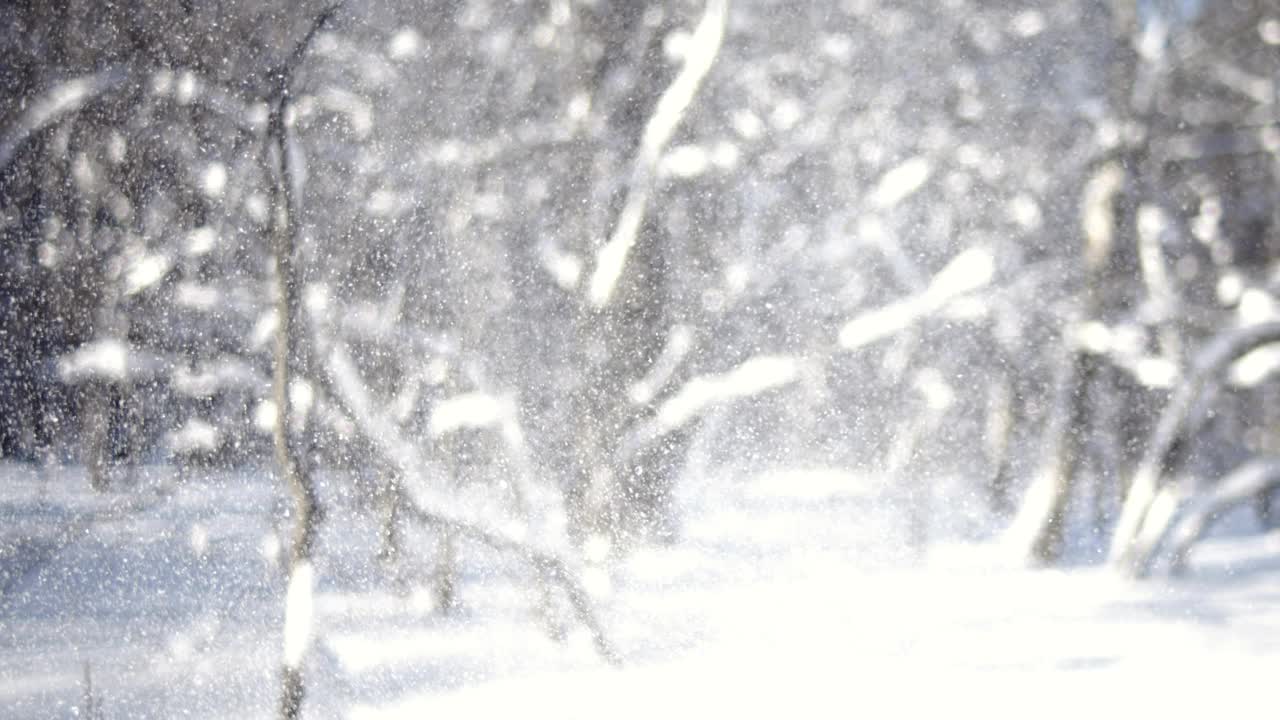 降雪时的冬季景观。冬日圣诞的抽象背景上超慢动作。视频下载