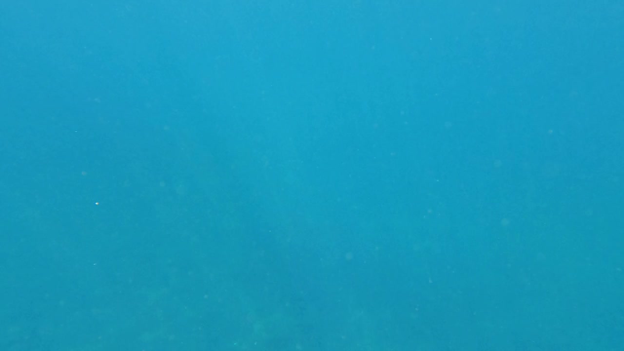 男子潜入海底视频下载