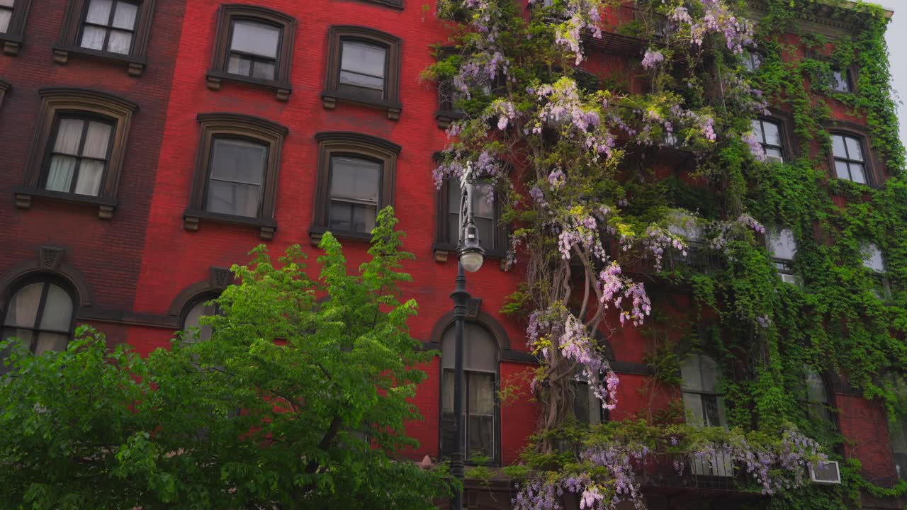 紫藤盛开在东村阿贝勒贝沃尔三角周围的公寓楼墙上视频下载