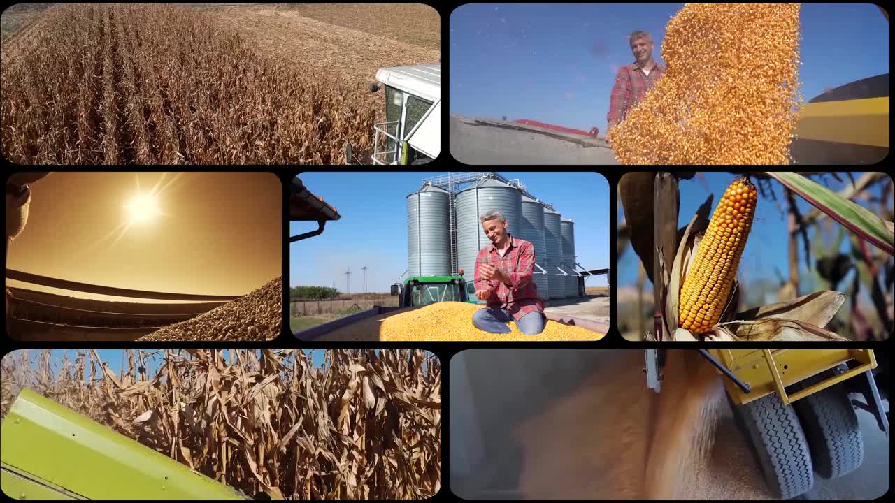 全球粮食生产和贸易-概念分屏视频视频下载