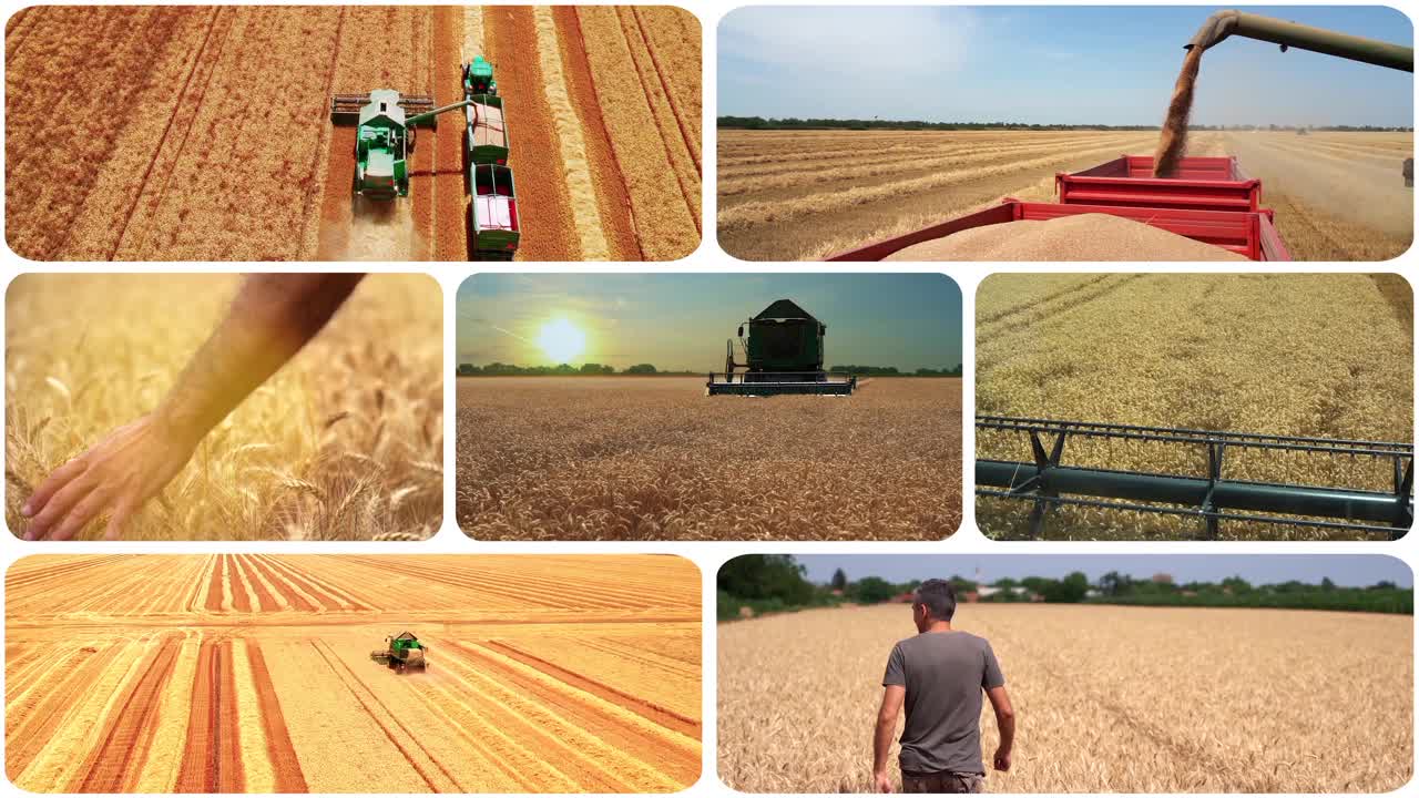 粮食生产和贸易-概念动态分割屏幕视频蒙太奇视频下载