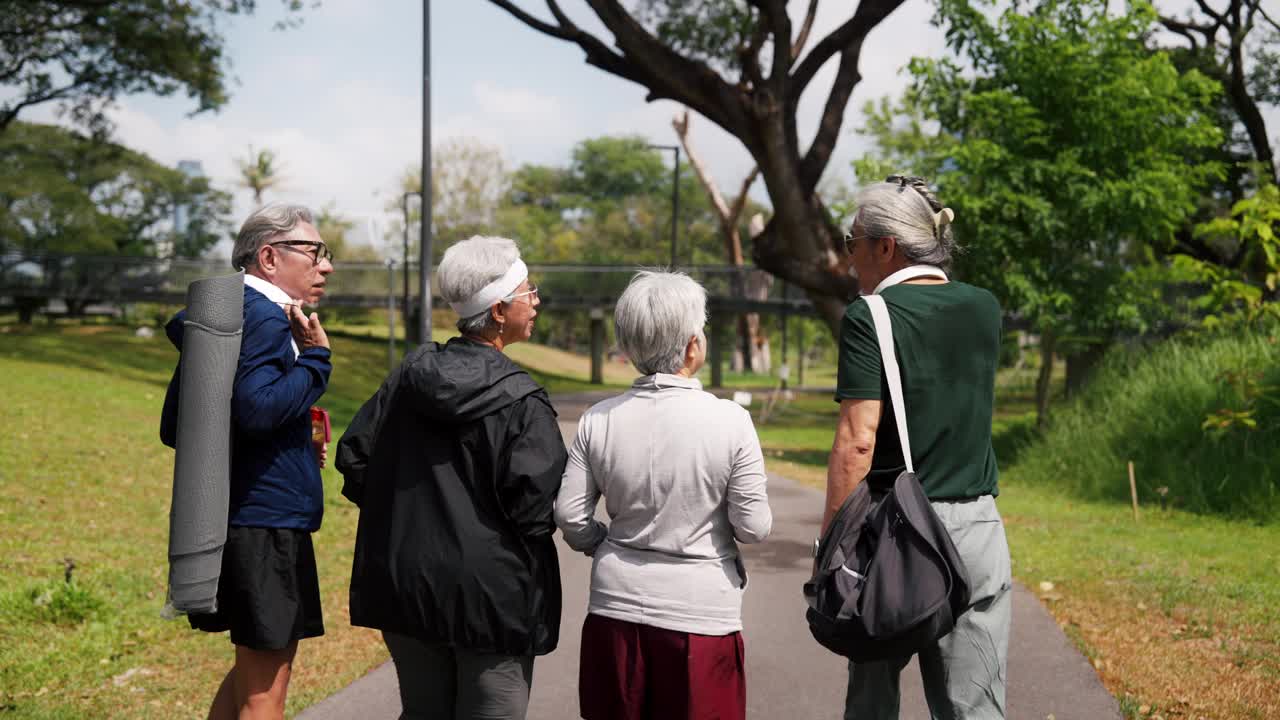 一群年长的朋友在公园散步。视频下载