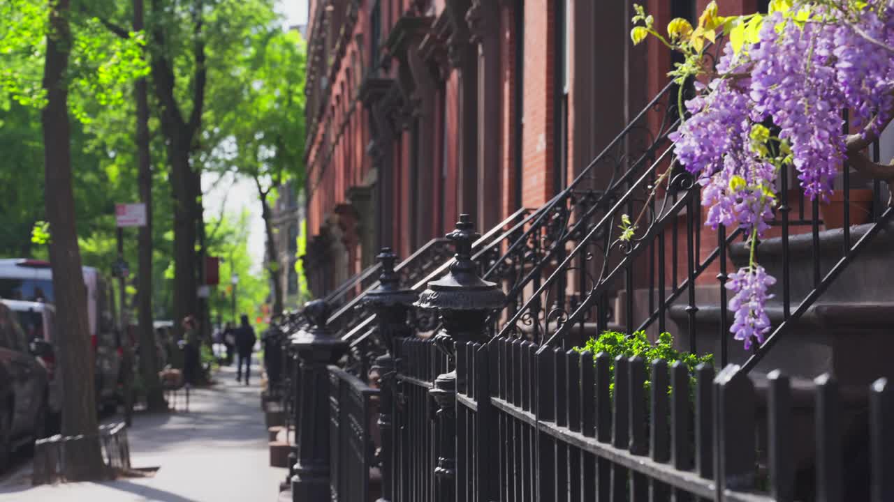 紫藤盛开在纽约东村阿贝勒贝沃尔三角周围的公寓楼墙上视频下载