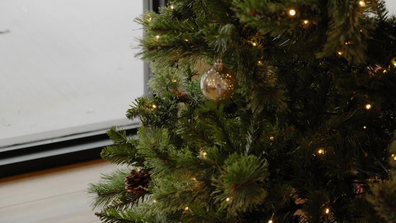 家里漂亮的圣诞树视频下载