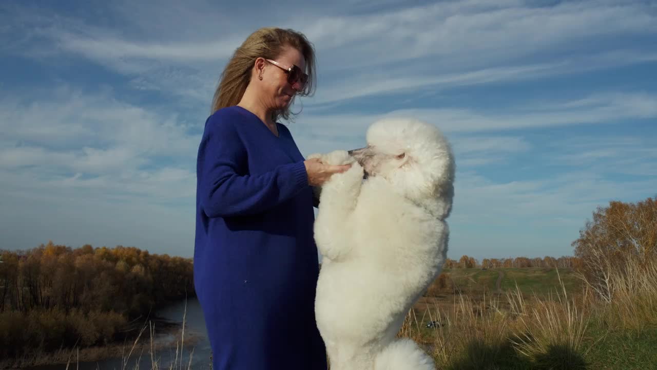 一位女士在河边拥抱她的狗。主人在大自然中遛狗视频下载