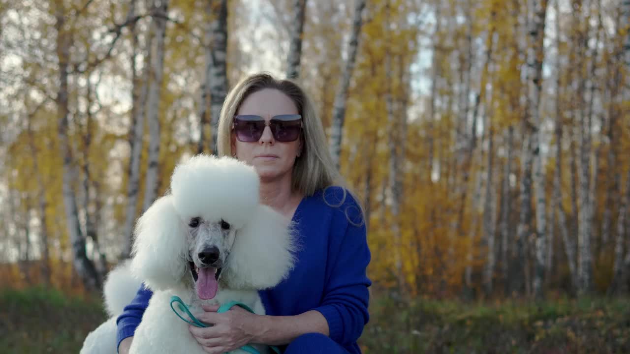 一个秋日阳光明媚的森林里，女人抚摸着白色的贵宾犬视频下载