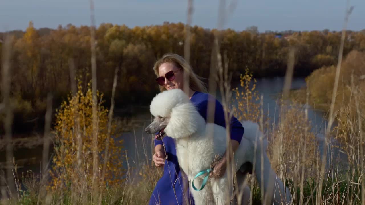 秋天，一名女子牵着狗绳在河边遛狮子狗视频下载