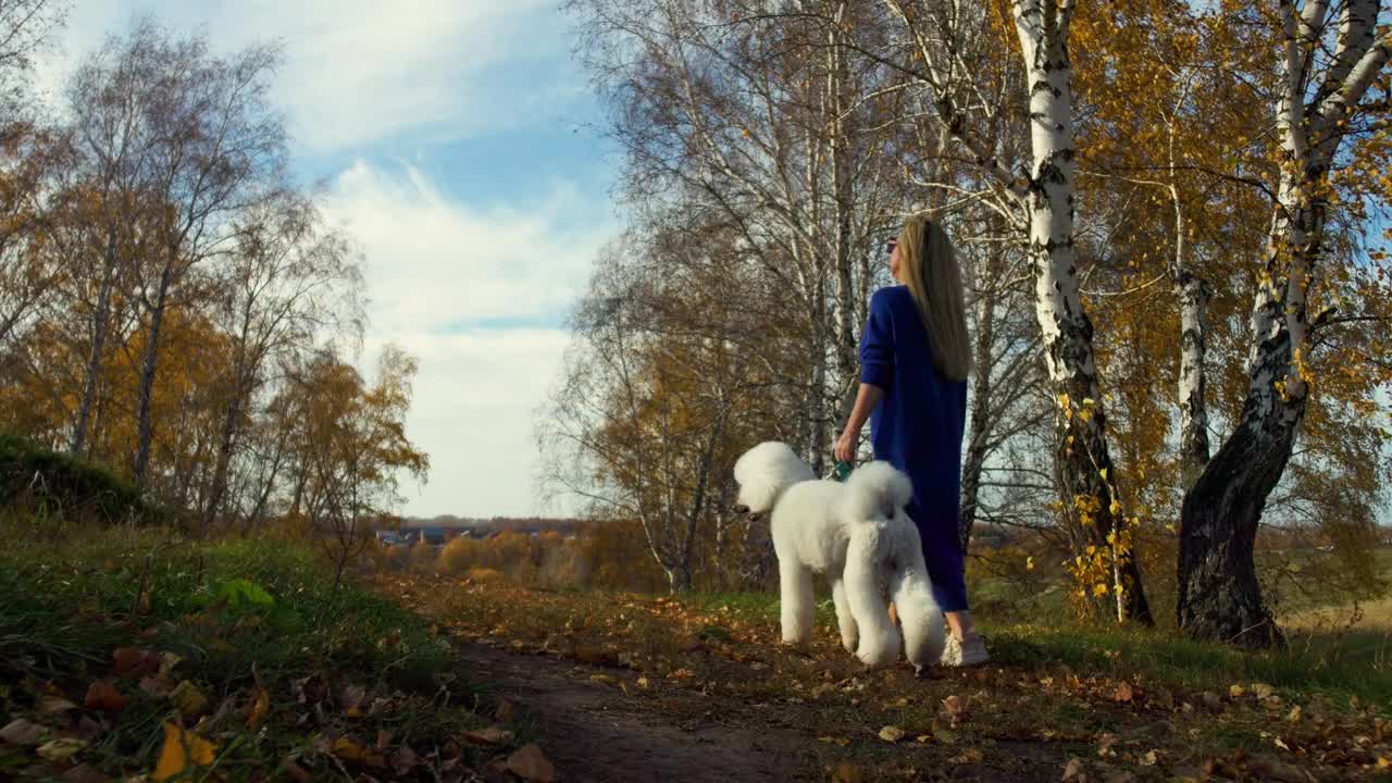 一个女人和一只狗在草地上散步，享受着一个温暖的秋日视频下载