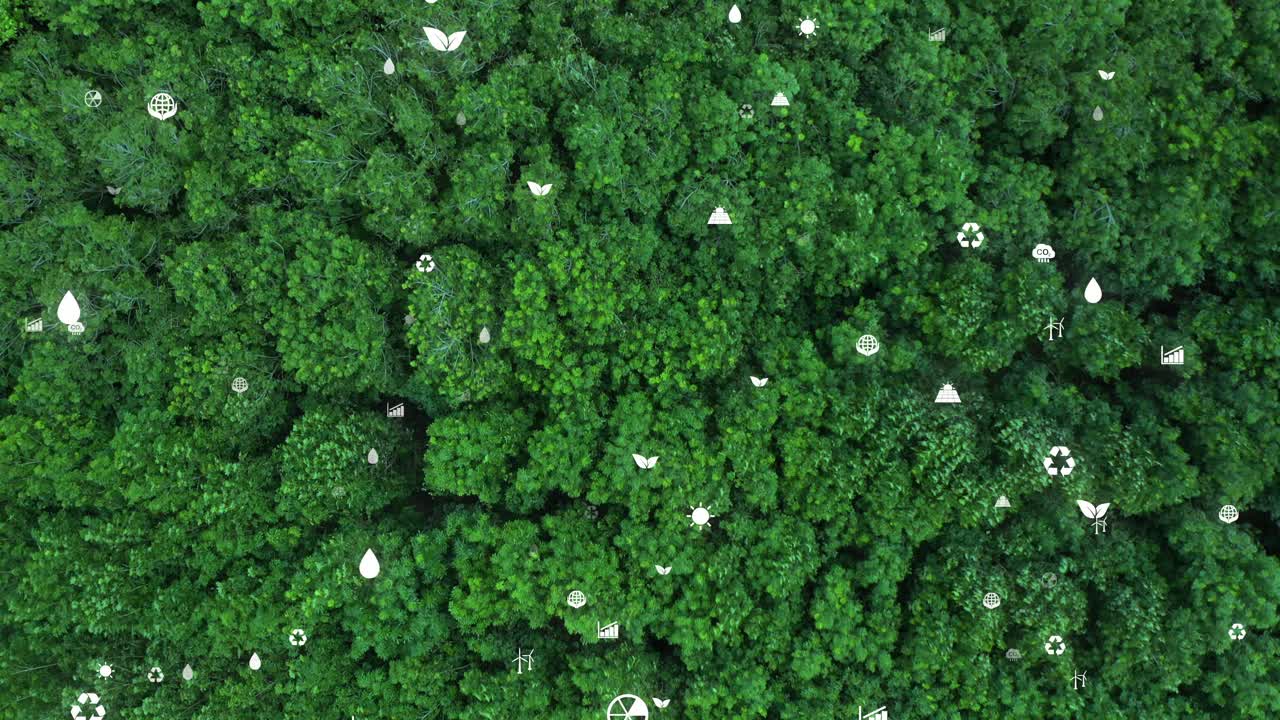 空中森林与大数据环保的ESG净零业务视频下载