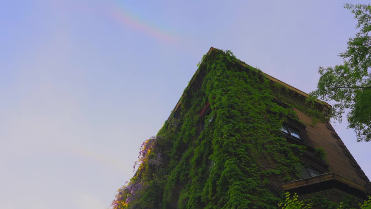 光环彩虹出现在纽约东村的公寓大楼上视频下载