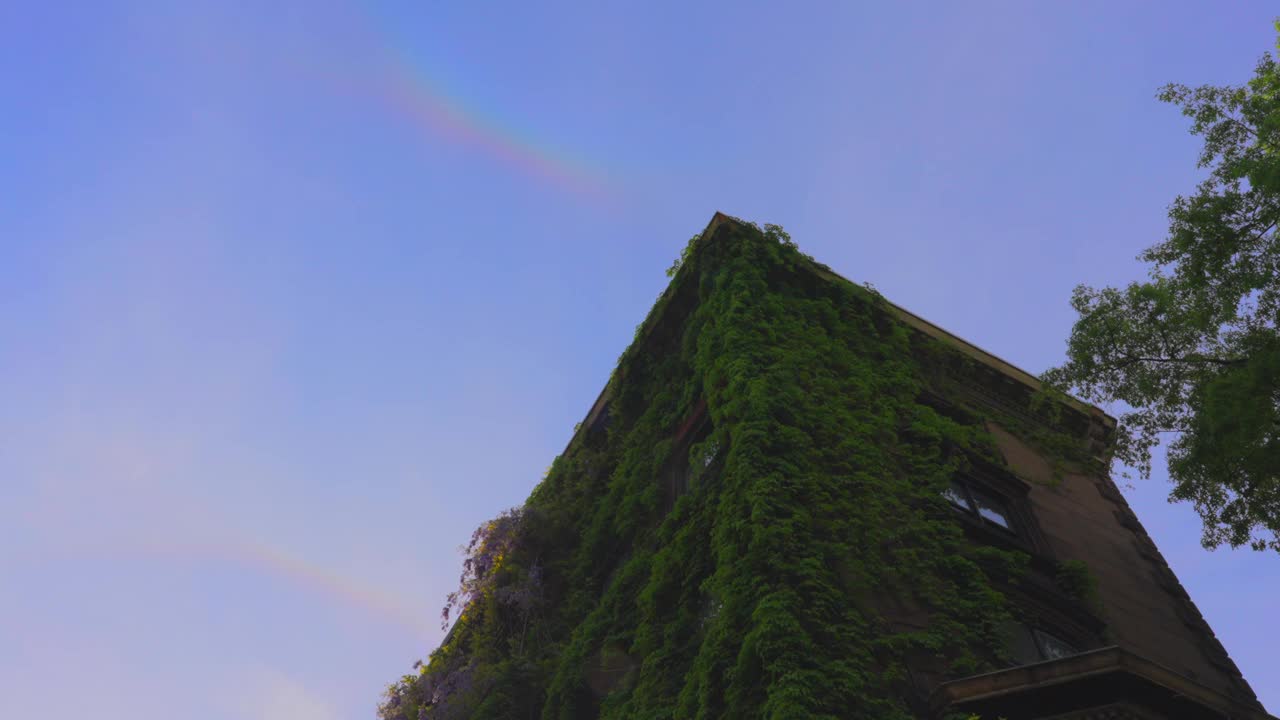 光环彩虹出现在纽约东村的公寓大楼上视频下载