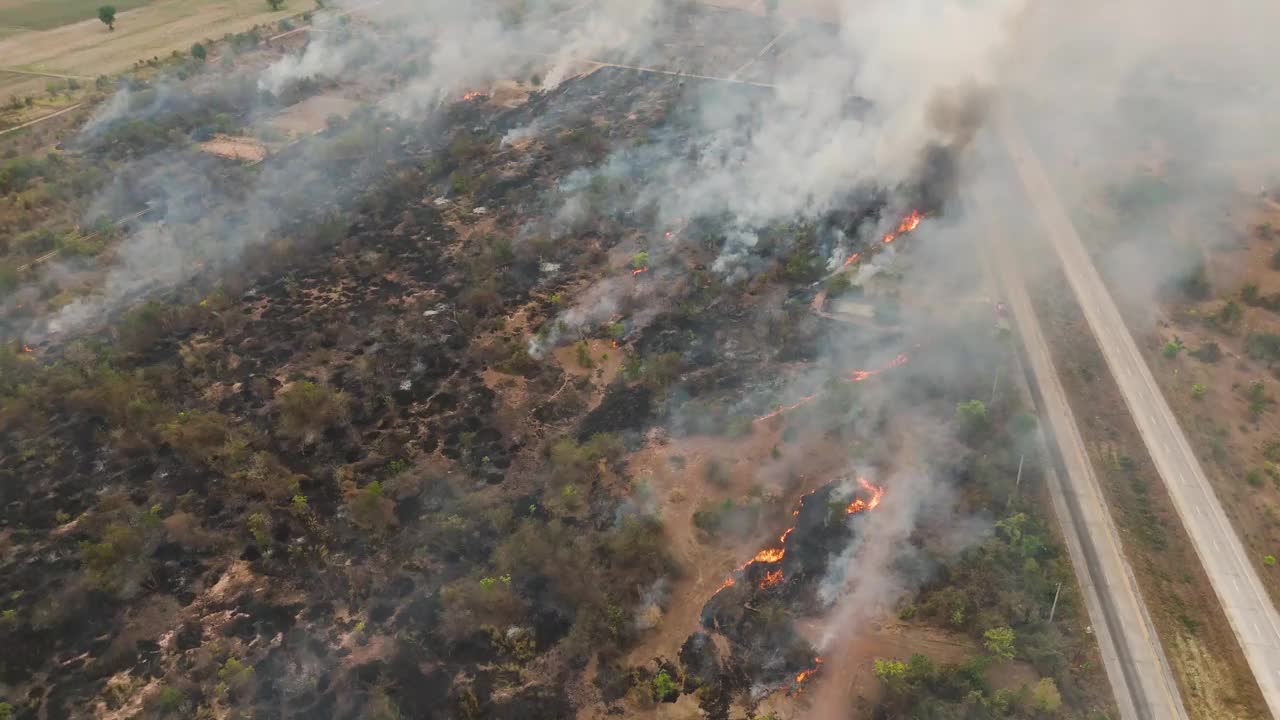 在繁忙的高速公路旁，无人机拍摄的森林大火鸟瞰图。一团巨大的烟雾升起。旱季自然灾害视频下载