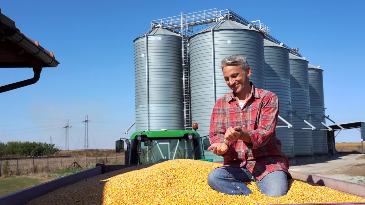 快乐的农民展示新鲜收获的玉米谷物对谷物筒仓-放大镜头视频下载
