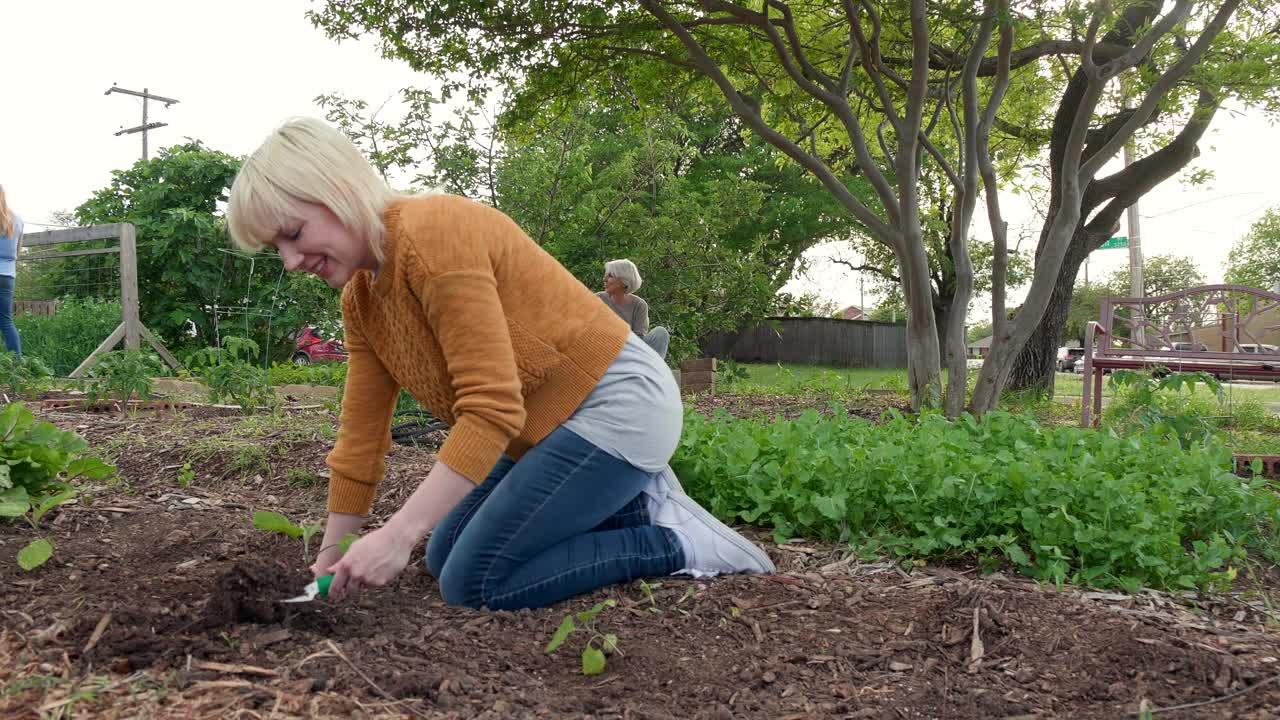 妇女在社区花园种植视频下载