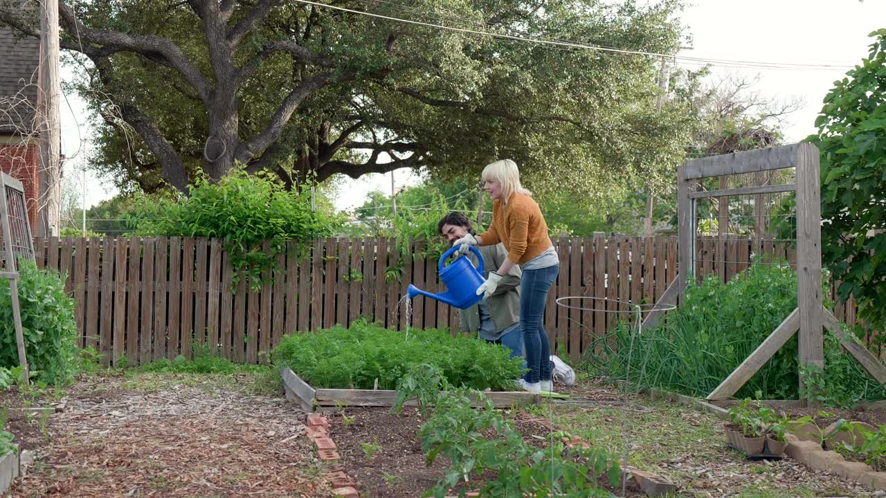 夫妇在社区花园享受园艺视频下载