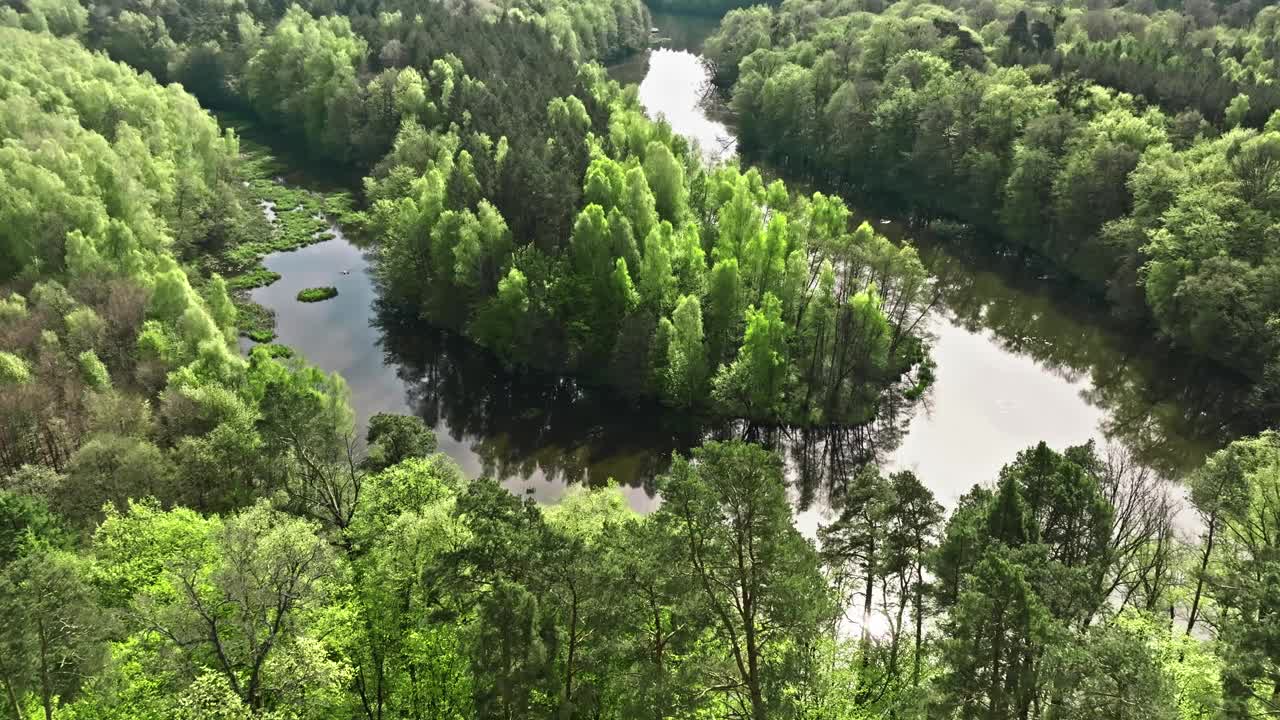 春天蜿蜒的河流和森林。波兰的大自然。视频下载