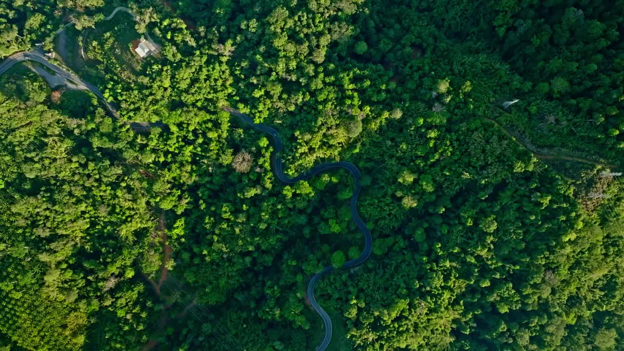 鸟瞰图陡峭的山上蜿蜒的小路被茂密的绿色森林包围。视频下载