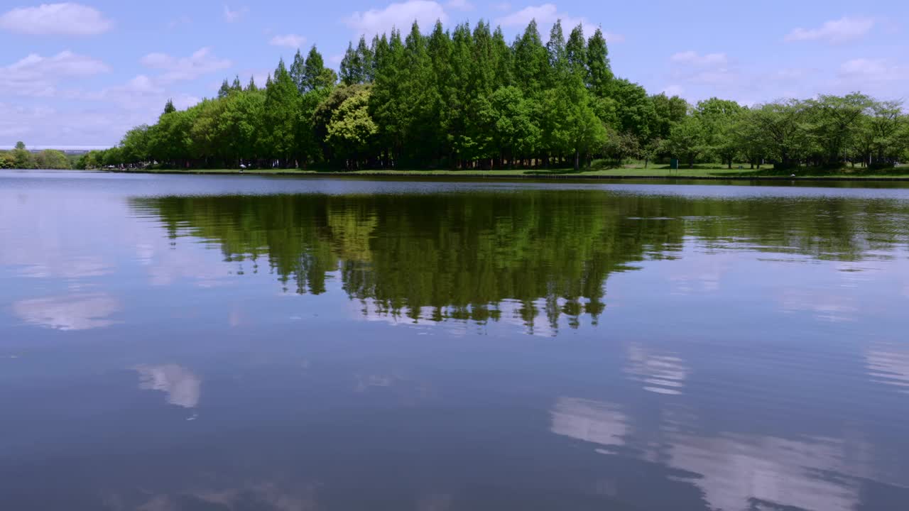一条有清澈的水和新鲜的绿树的河视频下载