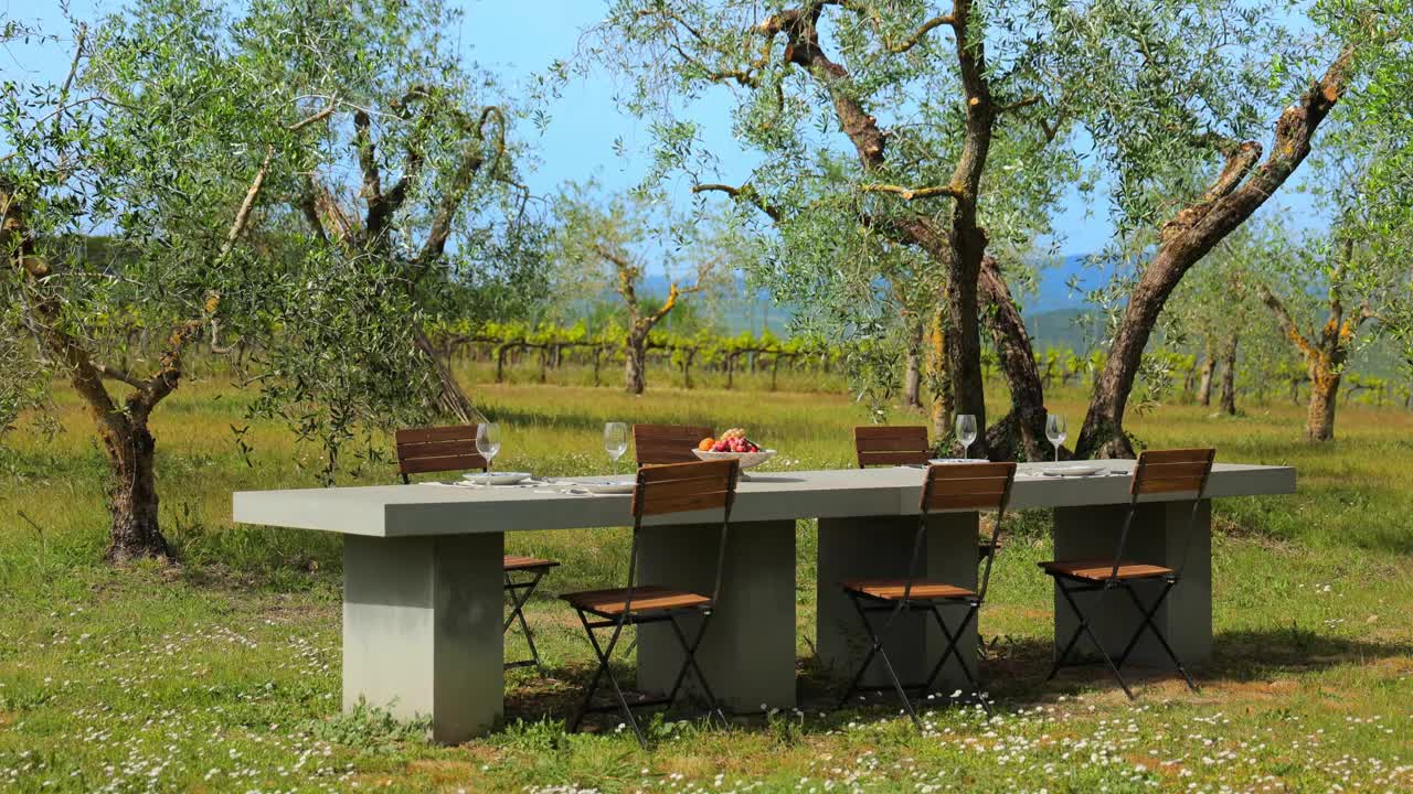 餐桌在橄榄园和葡萄园视频下载