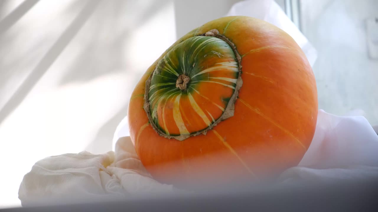 传统的橙色南瓜。万圣节的装饰品。感恩节假期。收获视频下载