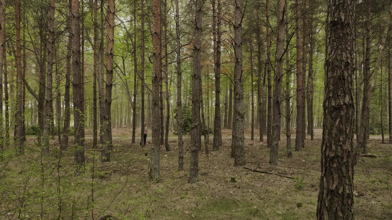 一个女人走在米林根的小森林里视频下载