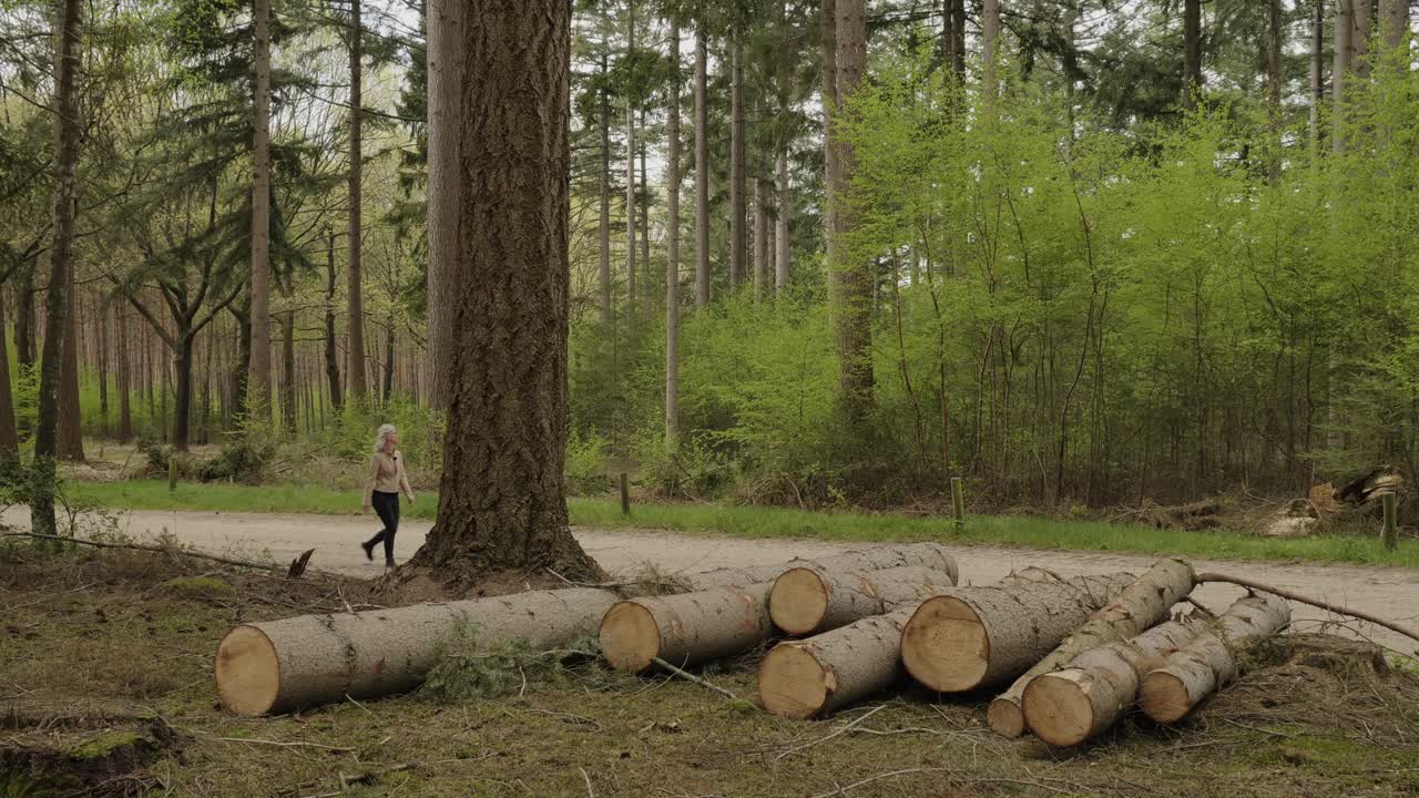 在米林根的森林里走过原木的女人视频下载