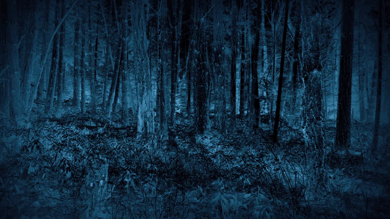 中央电视台匿名男子在森林，犯罪，嫌疑人概念视频下载