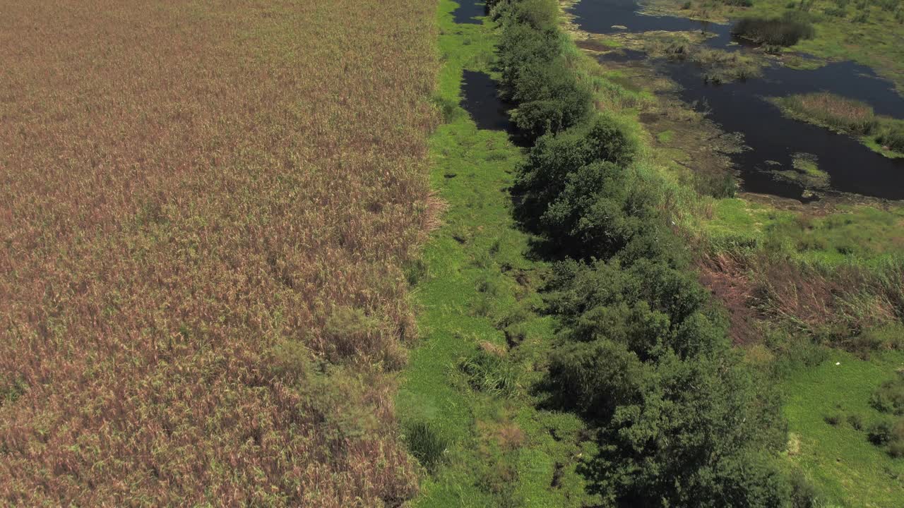 空中倾斜美丽的河流，无人机以色利前进党在干燥的景观对明确斯莱-河口远景，德克萨斯州视频下载