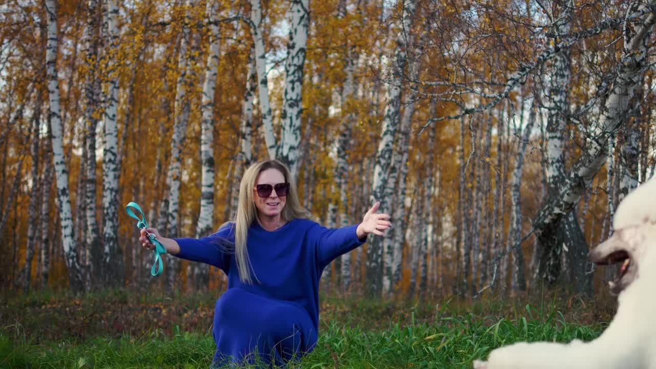 一个秋日阳光明媚的森林里，女人抚摸着白色的贵宾犬视频下载