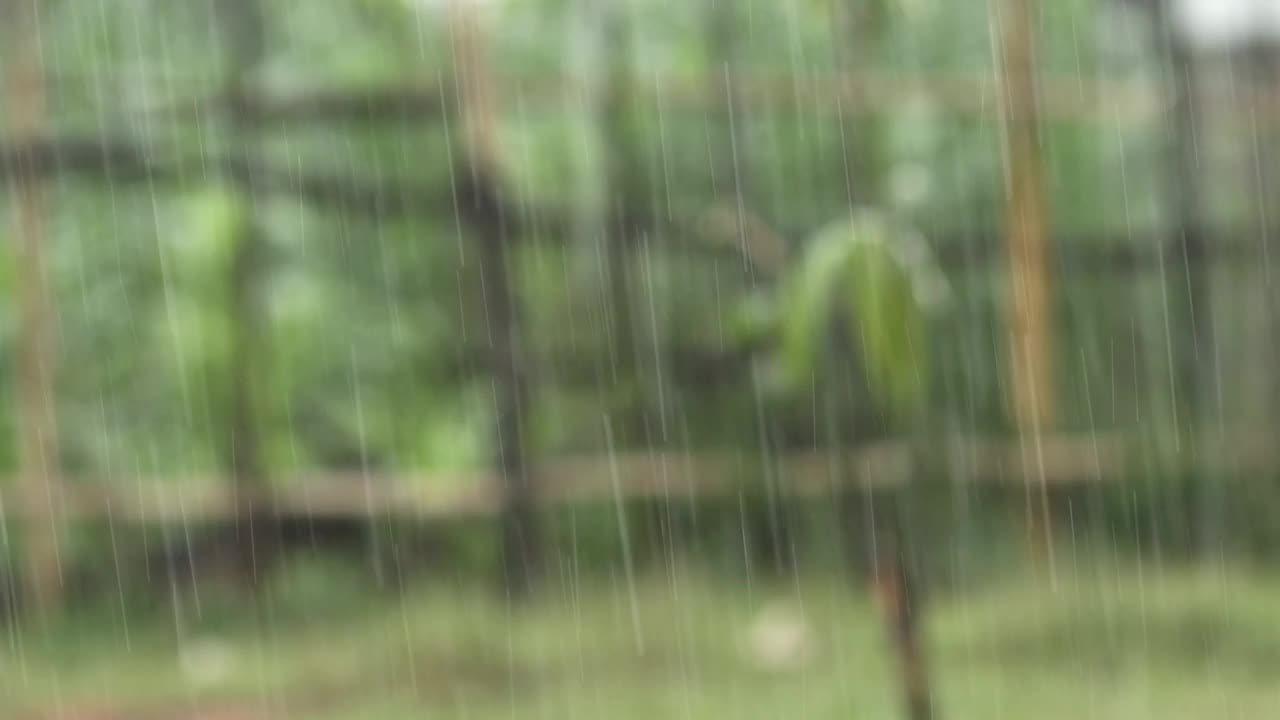 雨季以模糊绿色为背景，天气预报概念视频下载