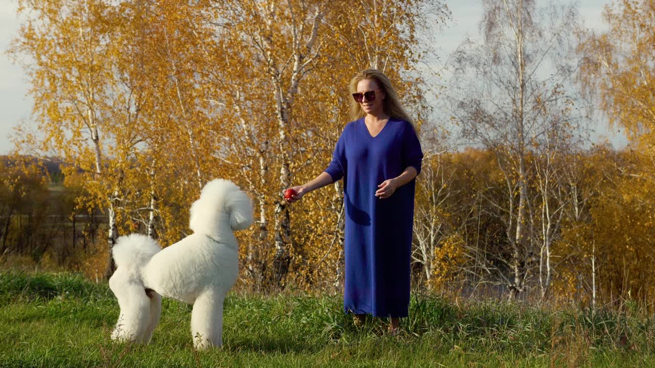 身着蓝色连衣裙的年轻成年女子带着狗在大自然中散步视频下载