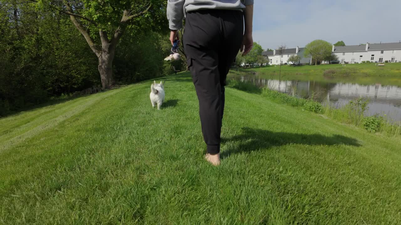 一个女人光着脚在公园遛狗。旅行的概念。广角镜头视频下载