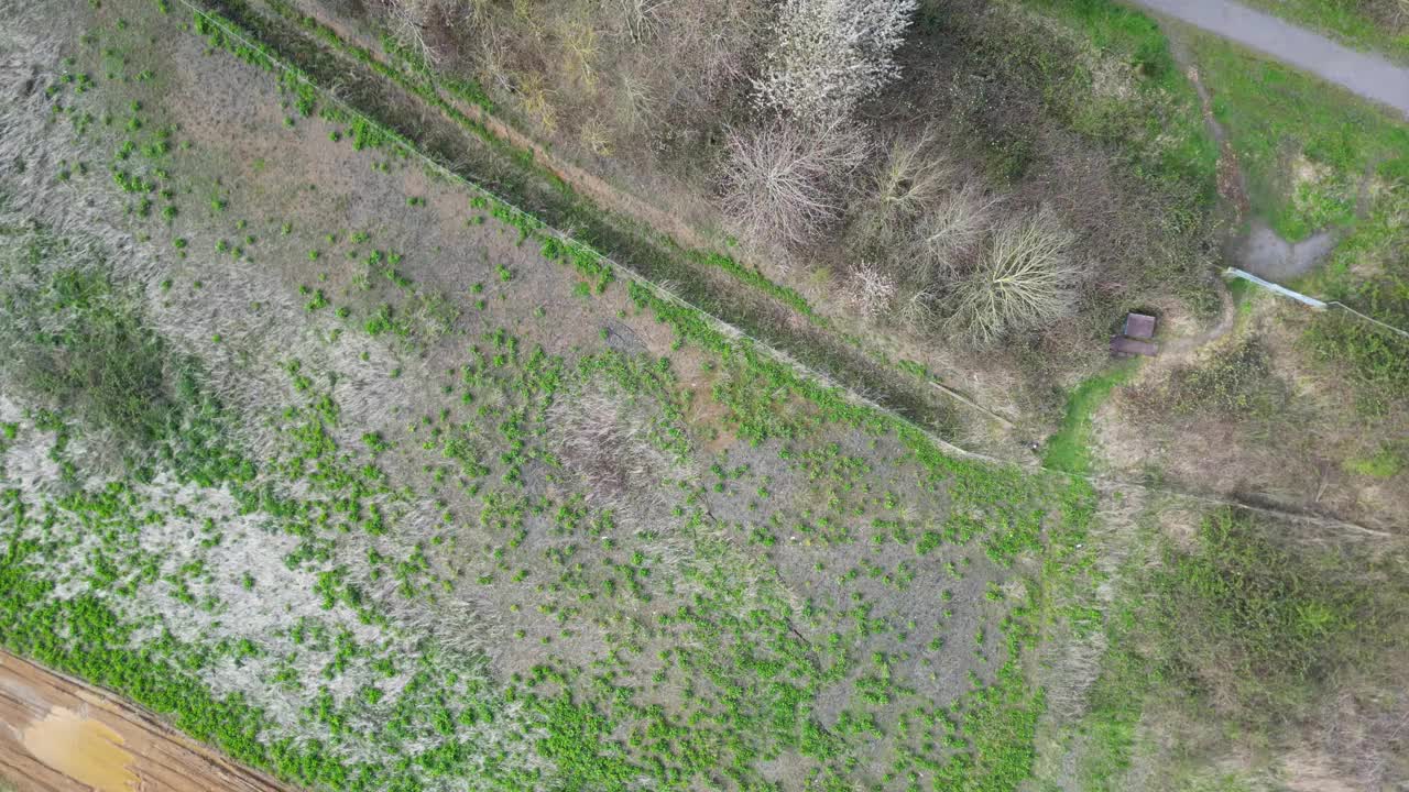 莱顿秃鹰的英国乡村景观视频下载