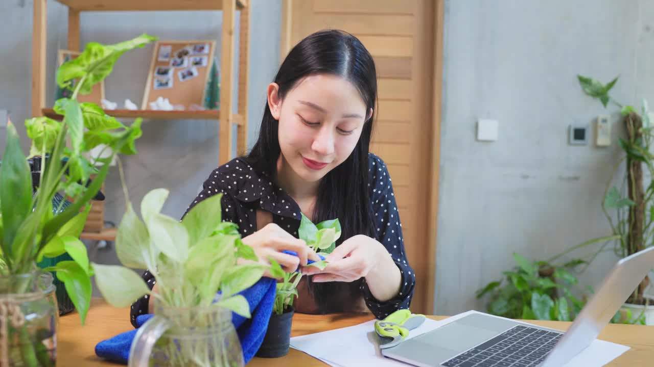 亚洲女性在家里用笔记本电脑进行在线树木或植物业务。视频下载