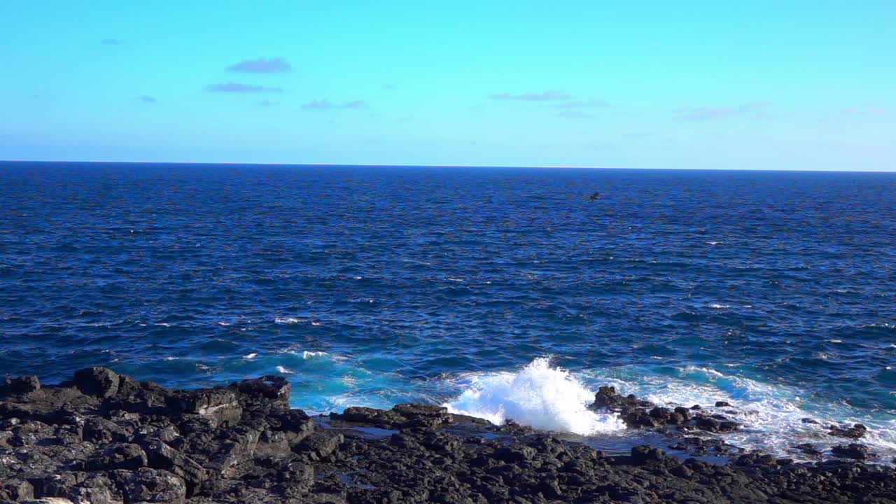 在阳光明媚的日子里，小鸟在波涛起伏的蓝色海洋上飞行的慢动作锁定镜头——厄瓜多尔加拉帕戈斯群岛视频下载