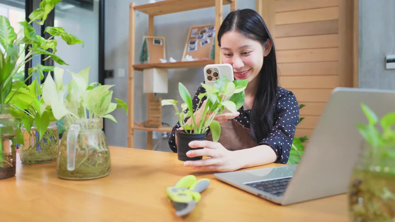 亚洲女性在家里用笔记本电脑进行在线树木或植物业务。视频下载