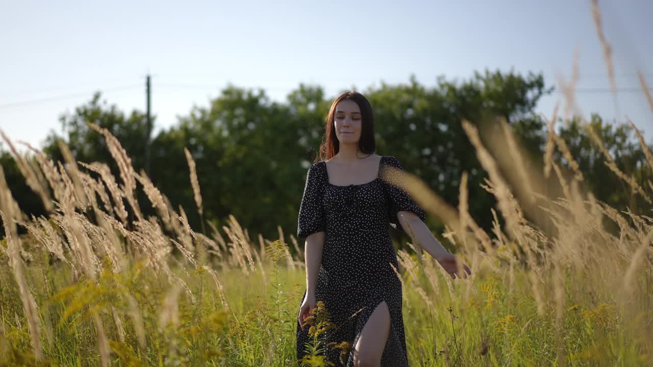 低角。在一个阳光明媚的夏日，一个可爱的黑发女孩穿着黑色连衣裙，长发飘飘，走过一片长着高大摇曳的草的田野，环顾四周。视频下载