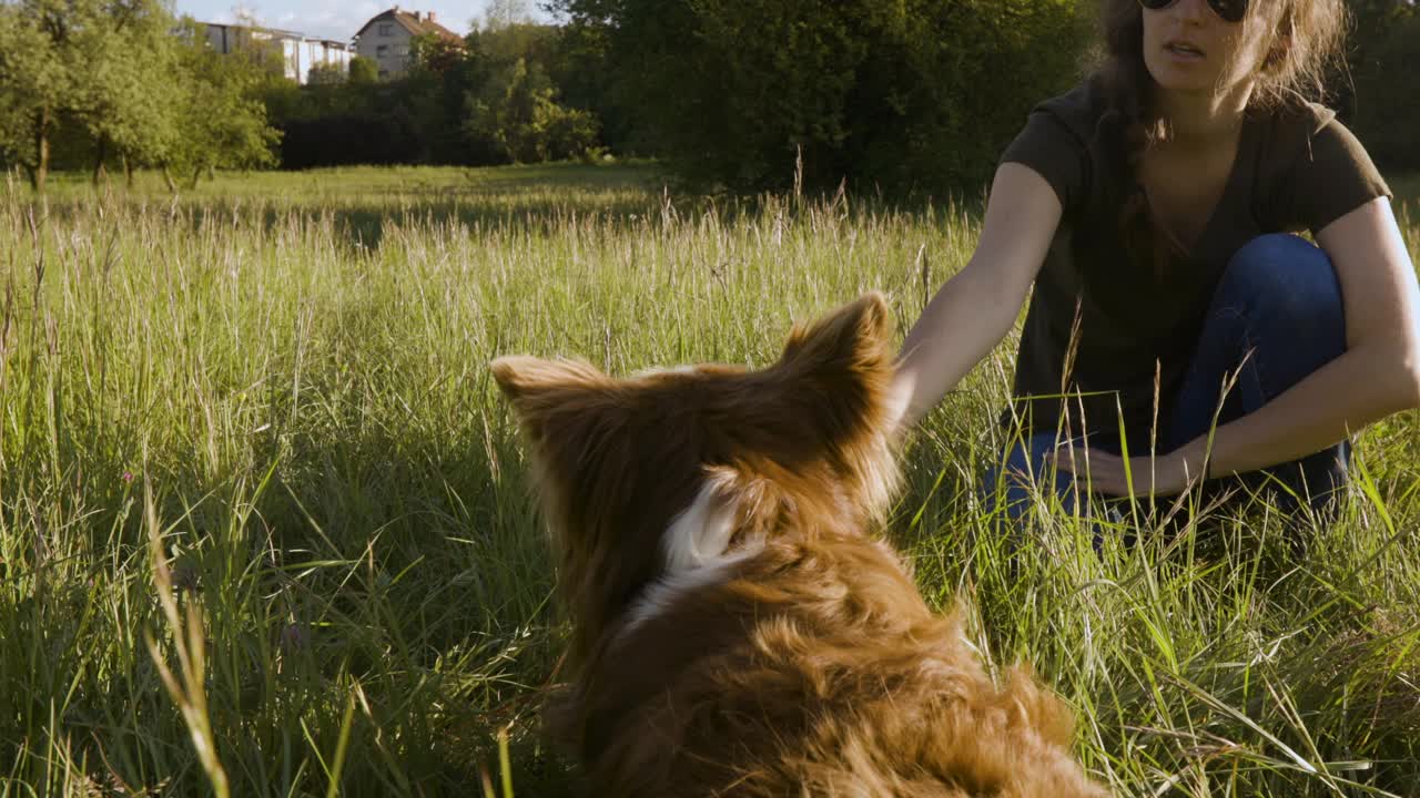 年轻女子和狗在草地上玩耍视频下载