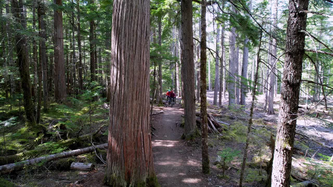 两个高级山地自行车手骑着电动自行车穿过森林视频下载