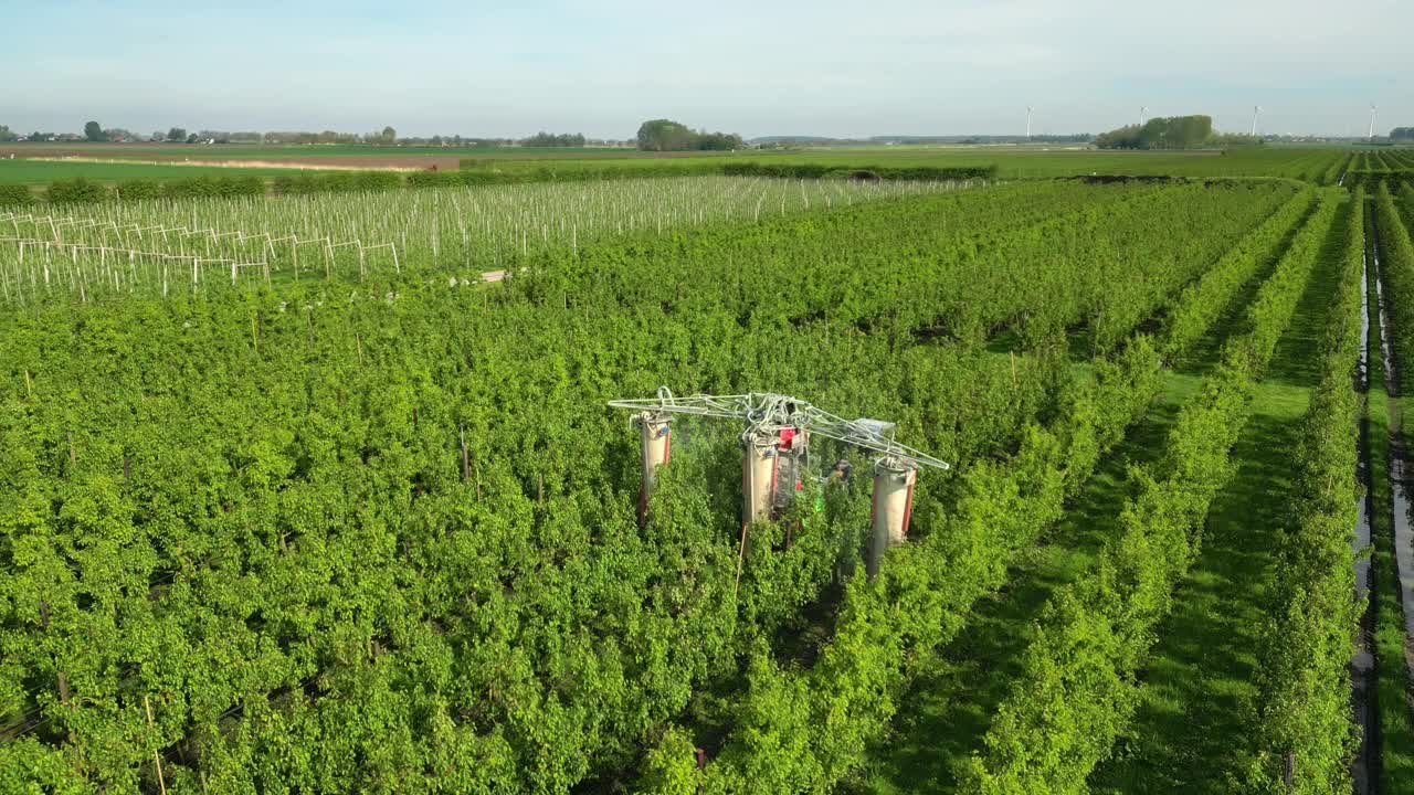 无人机拍摄的一架拖拉机在一个巨大果园的梨树上喷洒作物保护产品的画面视频下载