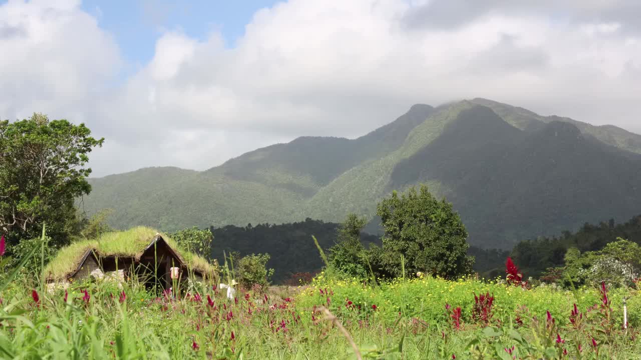 云彩移动的延时镜头在一个覆盖着绿草的石屋在花田视频下载