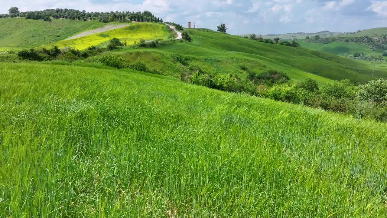 春天的克里特岛塞内西乡村，意大利托斯卡纳视频下载