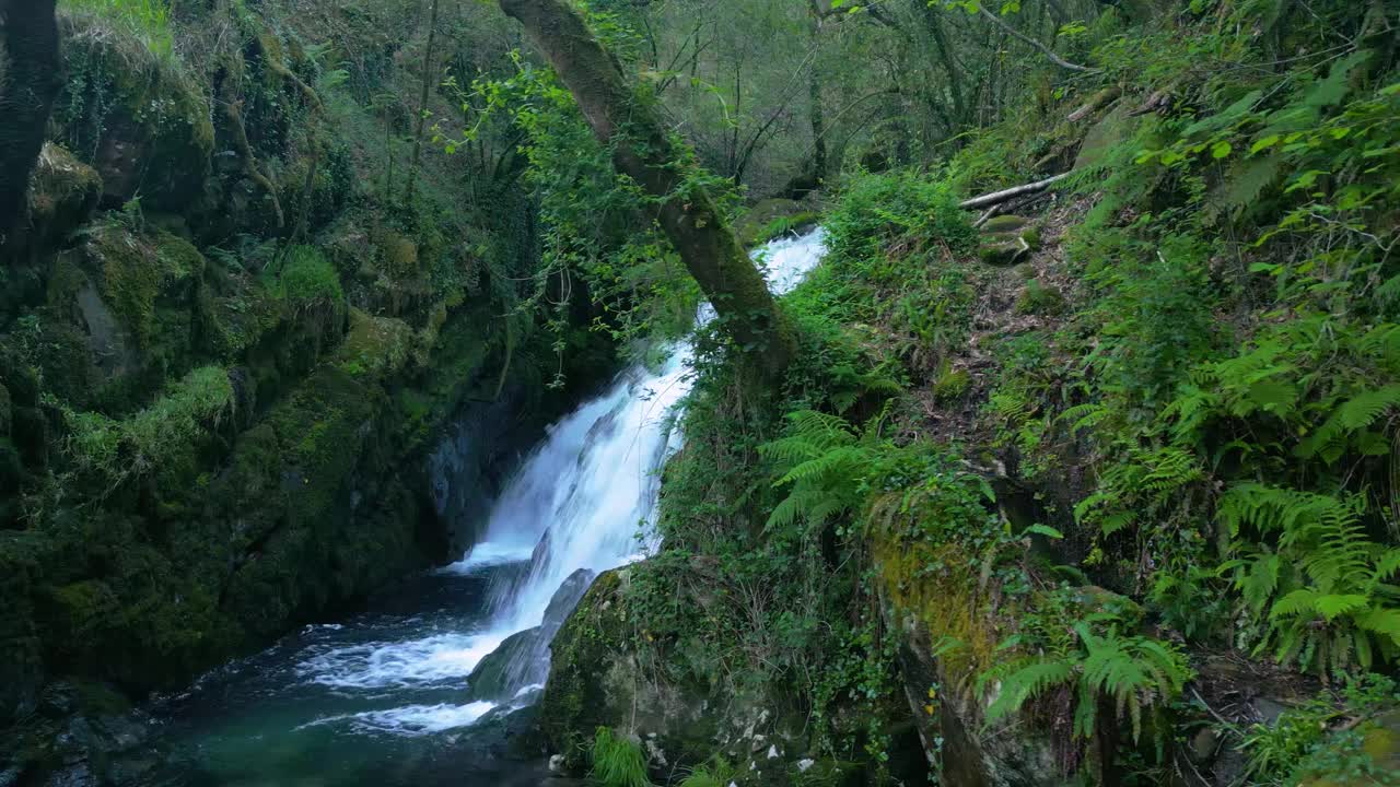 无人机拍摄的西班牙圣莱奥卡迪亚热带丛林中布满苔藓的岩石和瀑布视频下载