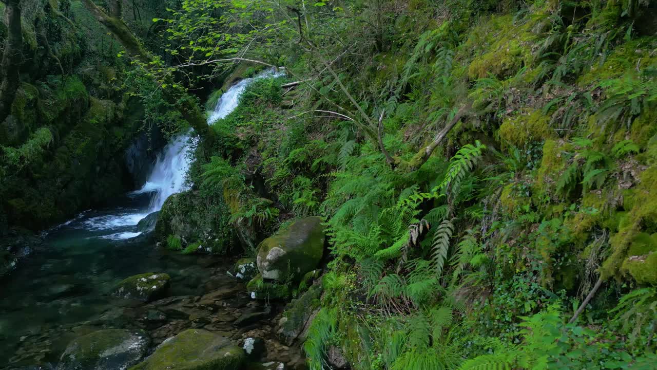 热带森林瀑布的景色在圣莱奥卡迪亚瀑布的苔藓覆盖的岩石上流动视频下载